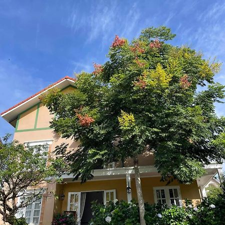 Bich Dao Boutique - Dalat Hotel Exterior foto