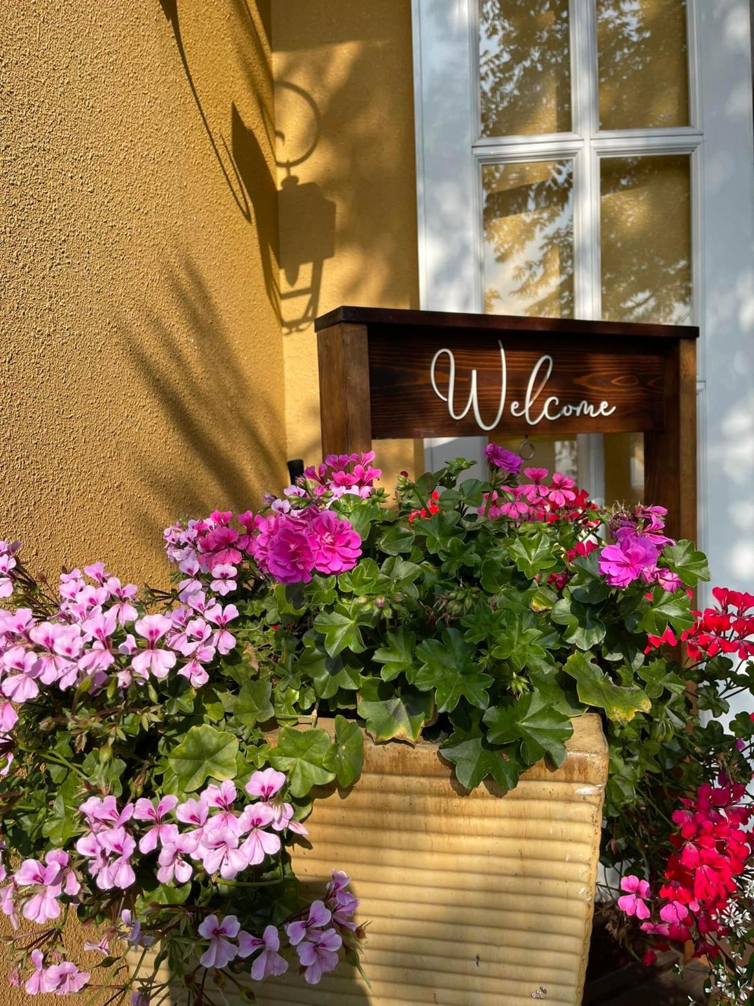 Bich Dao Boutique - Dalat Hotel Exterior foto