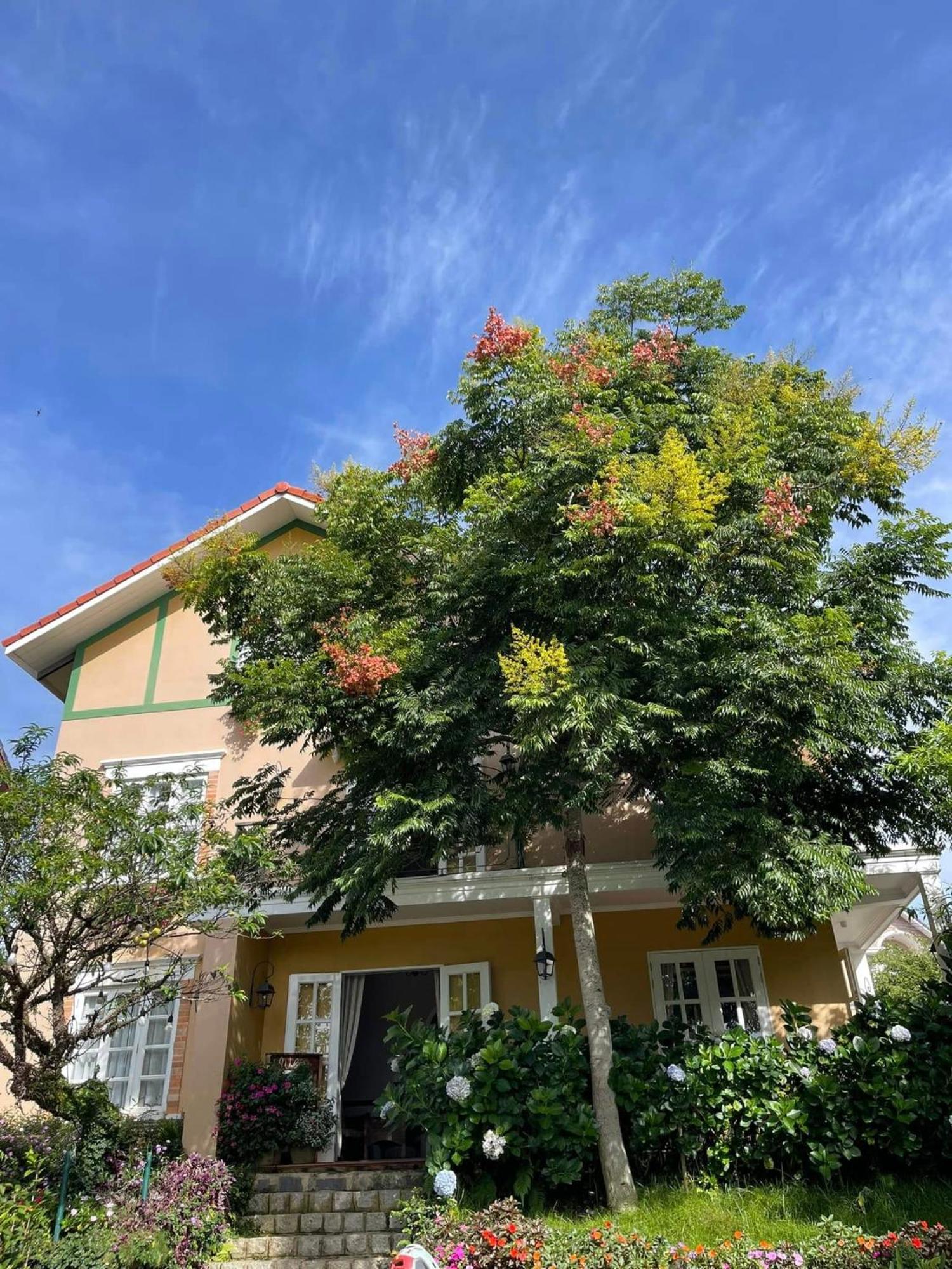 Bich Dao Boutique - Dalat Hotel Exterior foto