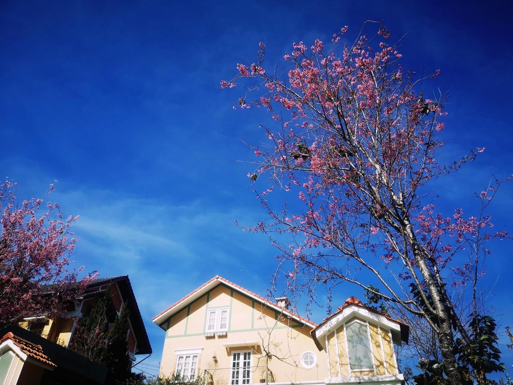 Bich Dao Boutique - Dalat Hotel Exterior foto